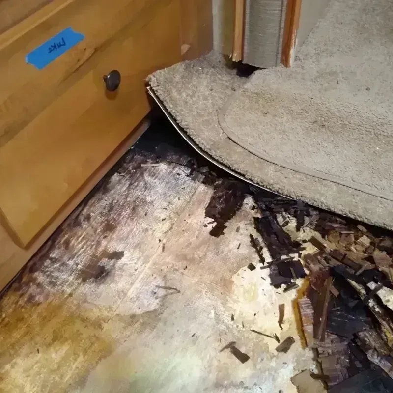 Best Wood Floor Water Damage Service in Dorchester County, MD